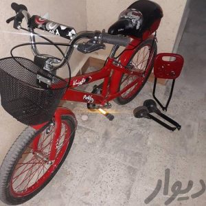 دوچرخه ۲۰ سالم